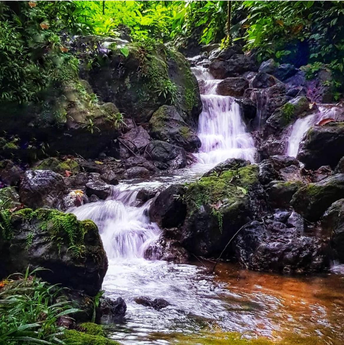 Hotel Renacer Termales-Agua Caliente Zewnętrze zdjęcie